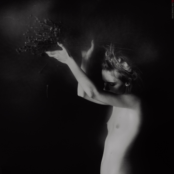 Photographer Elena Oganesyan. 2009